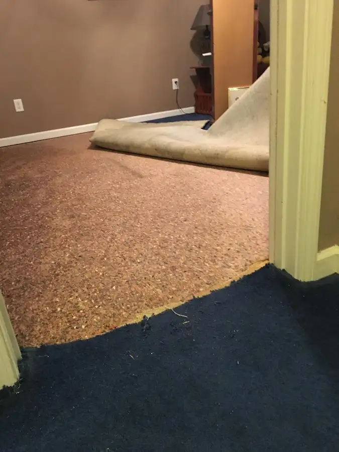 Carpet pad removal revealing water damage during Drying & Dehumidification in Parkville