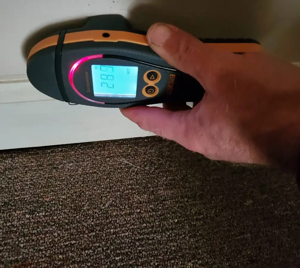 Moisture detection at baseboard during Sewage Cleanup & Sanitation in Parkville
